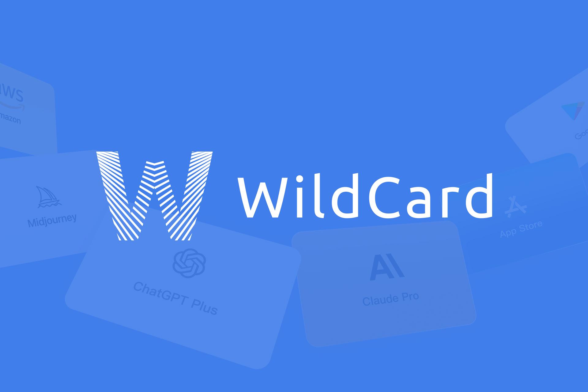 野卡 WildCard